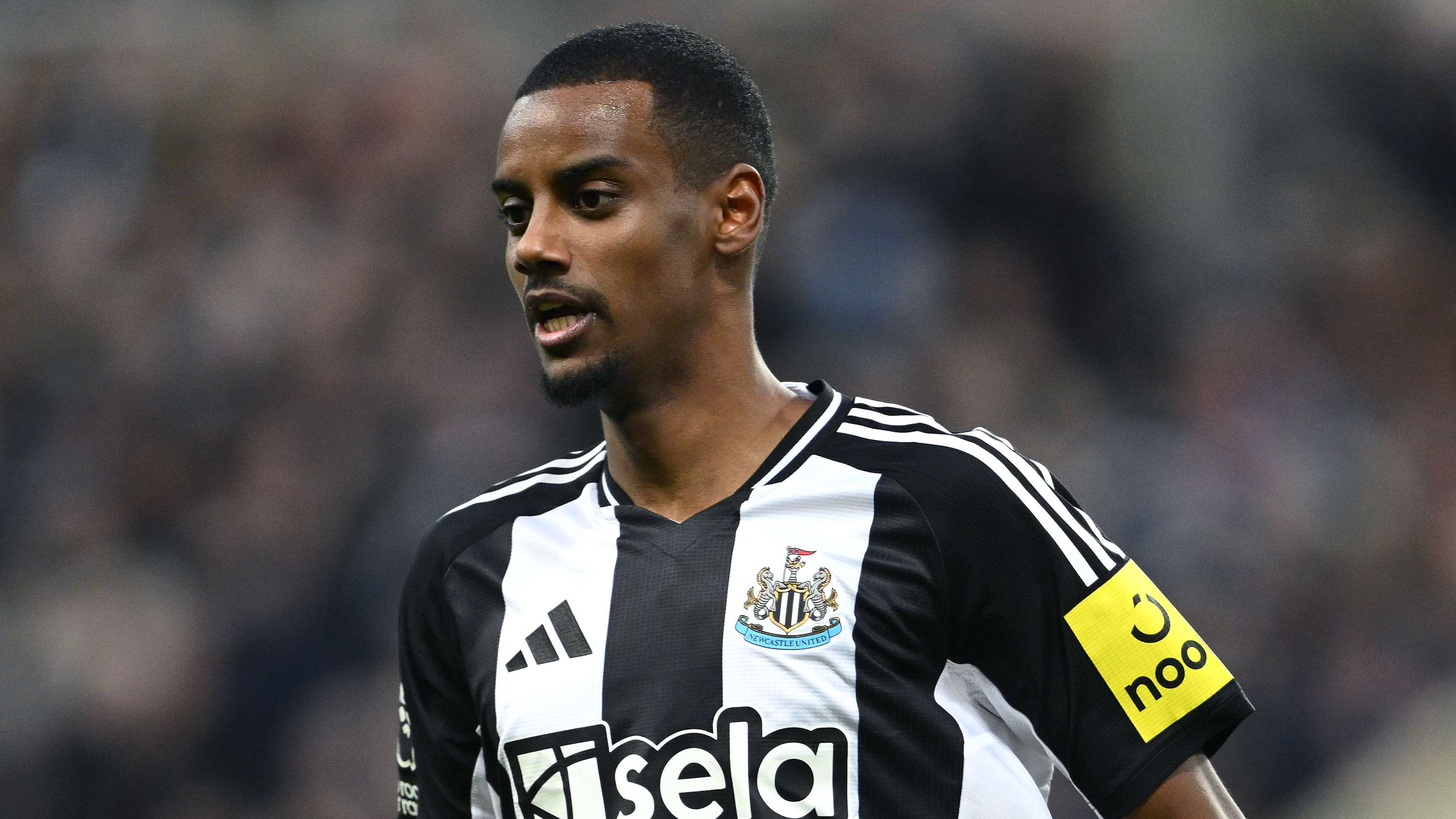 程也因为他 程也因为他